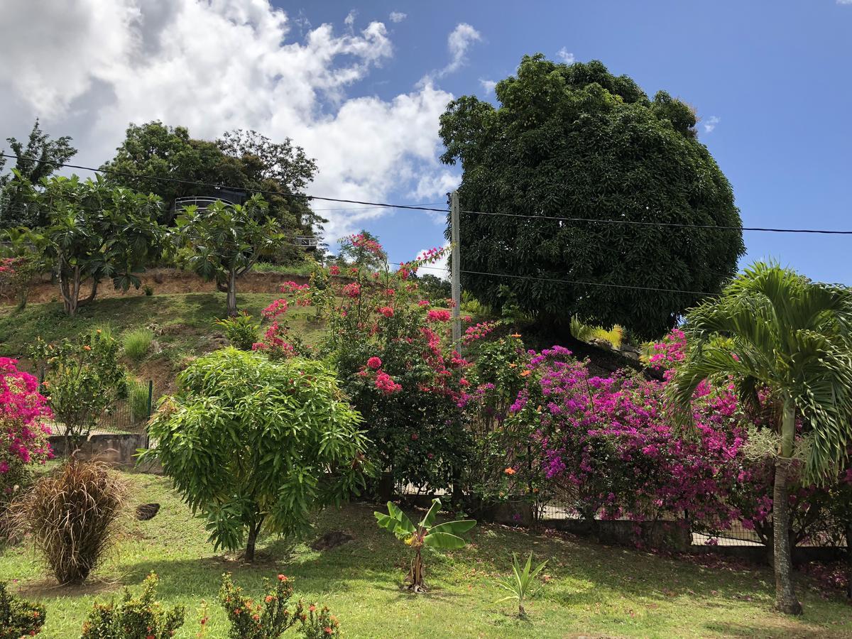 Kaz A Dany Villa Deshaies Exterior foto
